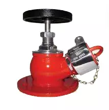 Double Hydrant Valves